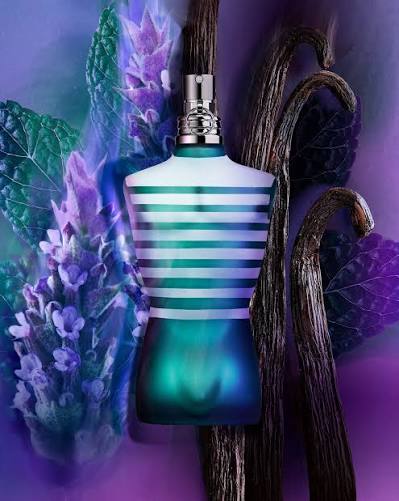 JPG: le male de jean paul gaultier